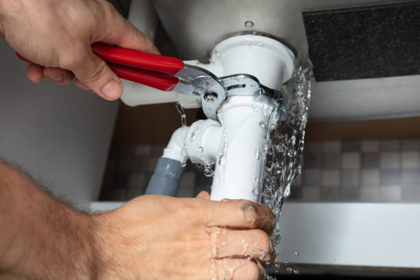 Best Water damage cleanup near me  in Smithfield, UT