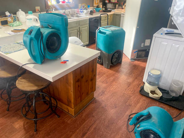 Best Mold removal after water damage  in Smithfield, UT