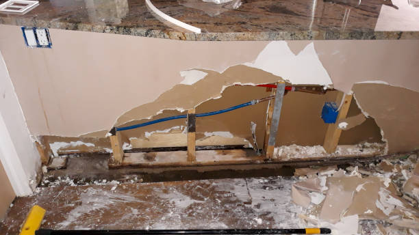 Best Water damage cleanup near me  in Smithfield, UT