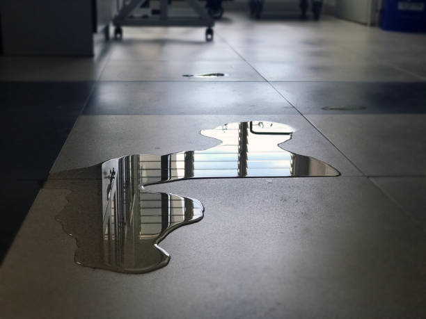 Best Water damage restoration near me  in Smithfield, UT