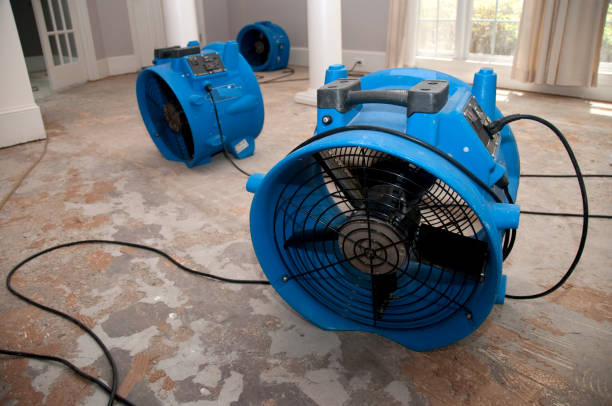 Best Water damage restoration experts  in Smithfield, UT