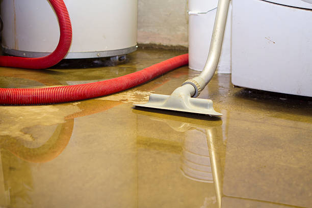 Best Water damage contractors near me  in Smithfield, UT