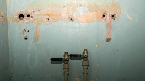 Best 24-hour water damage restoration  in Smithfield, UT