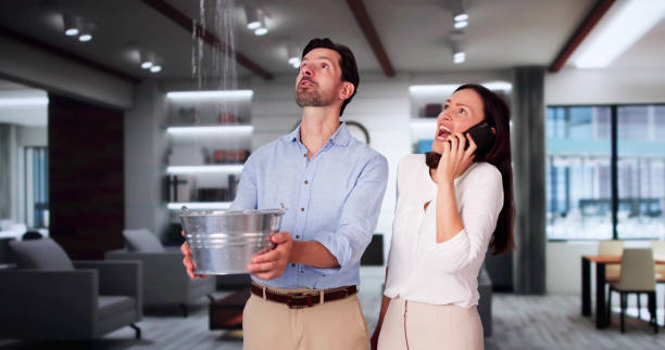 Best Local water damage restoration  in Smithfield, UT